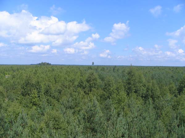 rajd ziemi noteckiej 07 (41)